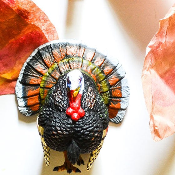 3 Fun Thanksgiving Turkey Kid's Crafts