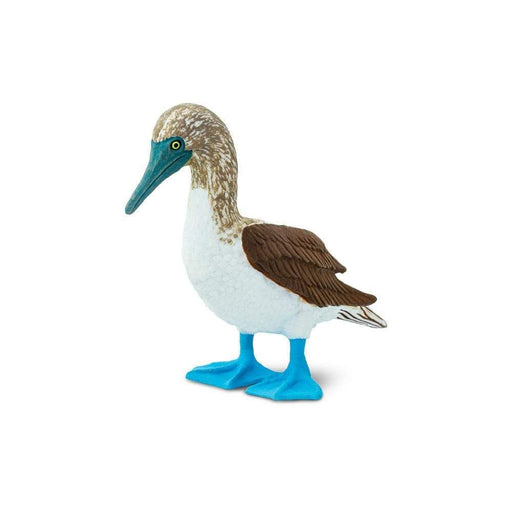 Blue Footed Booby Toy | Wildlife Animal Toys | Safari Ltd.