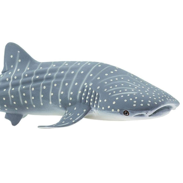 Whale Shark Toy