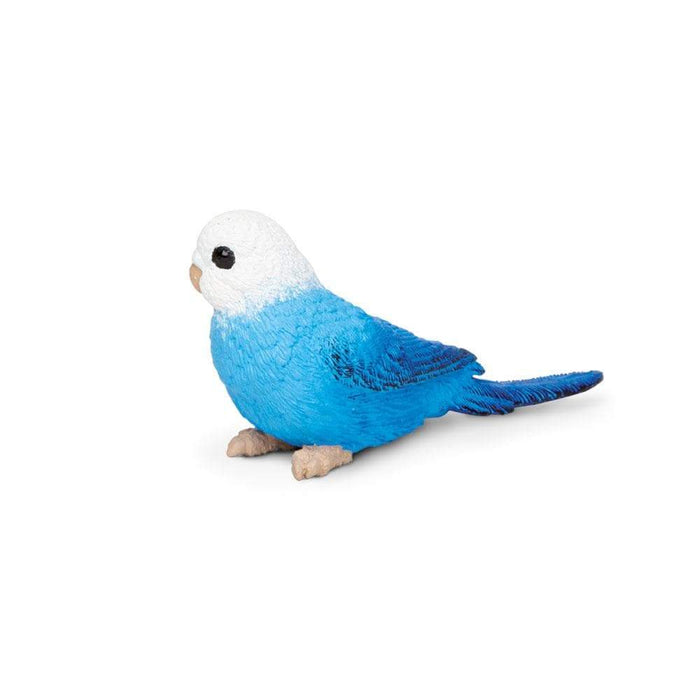 Blue Budgie Toy