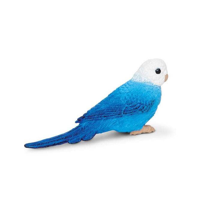 Blue Budgie Toy
