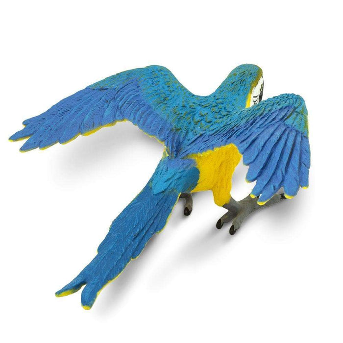 Blue & Gold Macaw Toy