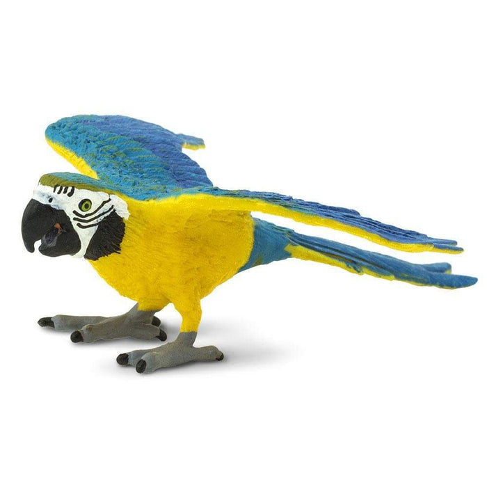Blue & Gold Macaw Toy