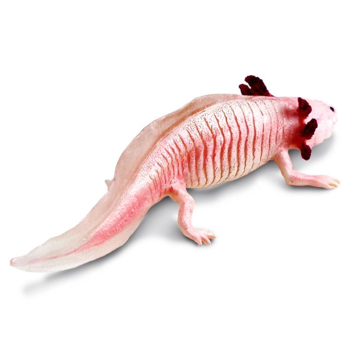 Axolotl Toy Figurine