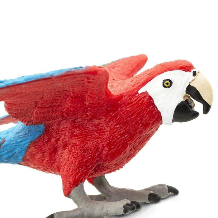 Green-winged Macaw Toy