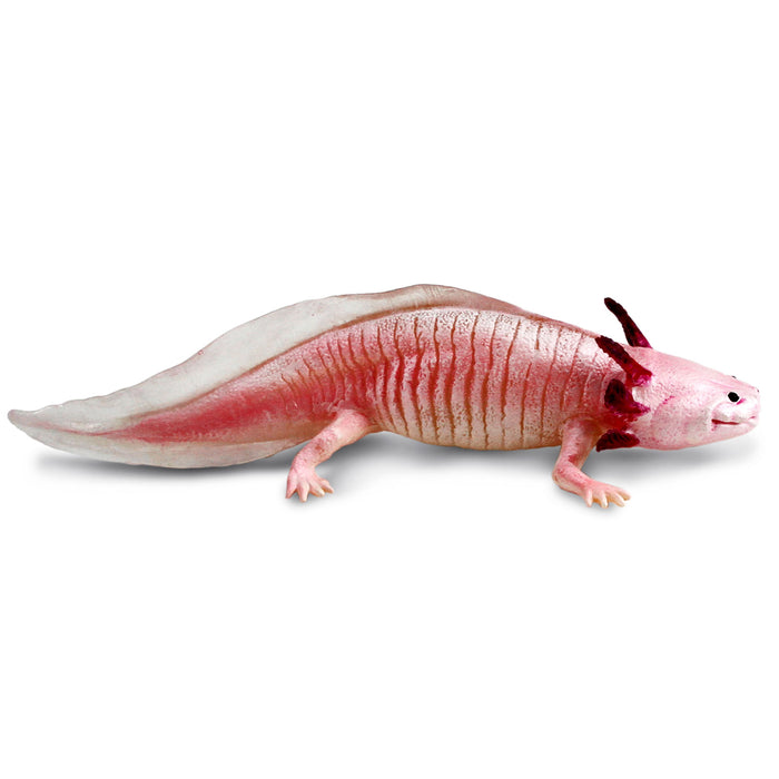 Axolotl Toy Figurine