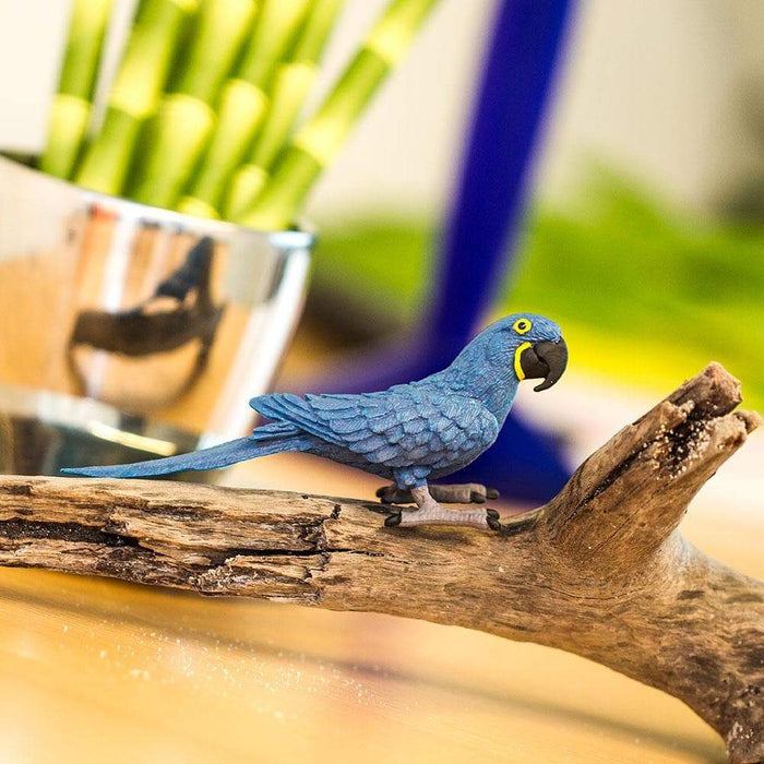Hyacinth Macaw Toy