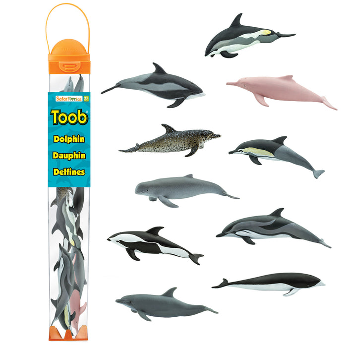 Dolphins TOOB
