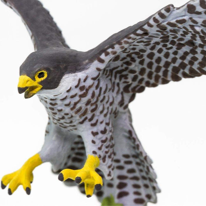 Peregrine Falcon Toy