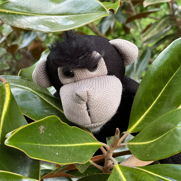 Jane's Greybeard the Chimpanzee - Mini Plush Toy