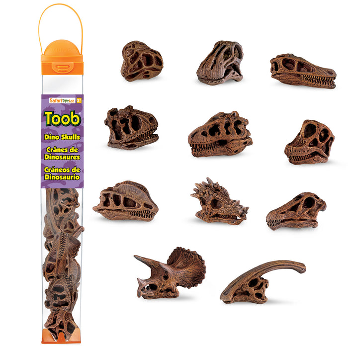 Dinosaur Skulls TOOB Toy