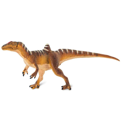 Concavenator Toy | Dinosaur Toys | Safari Ltd.