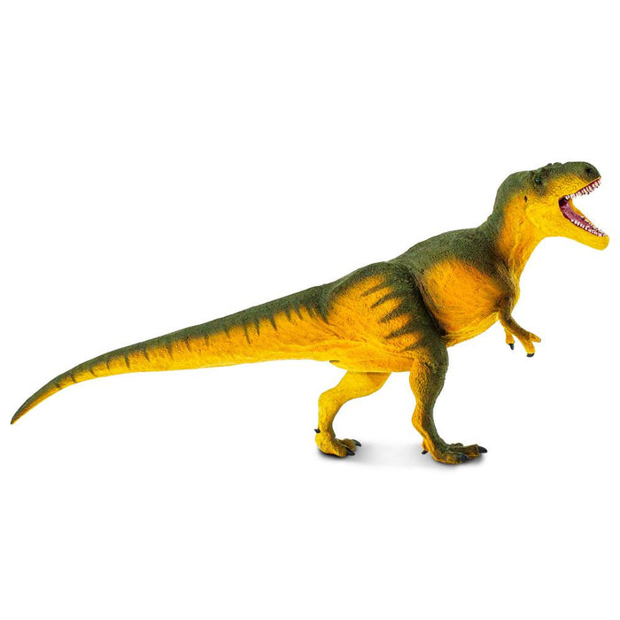 Daspletosaurus Toy | Dinosaur Toys | Safari Ltd.