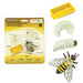 Life Cycle of a Honey Bee | Montessori Toys | Safari Ltd.