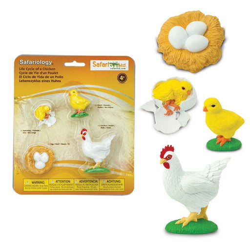 Life Cycle of a Chicken | Montessori Toys | Safari Ltd.