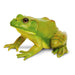 American Bullfrog - Safari Ltd®