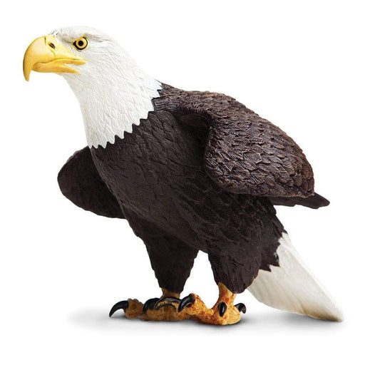 Bald Eagle - Safari Ltd®