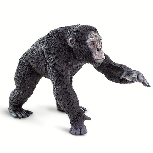 Chimpanzee - Safari Ltd®