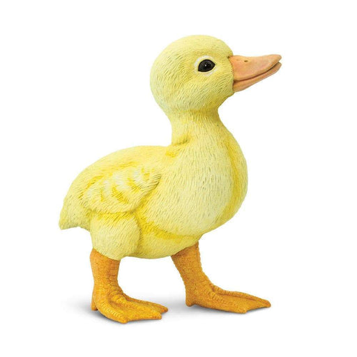 Duckling - Safari Ltd®