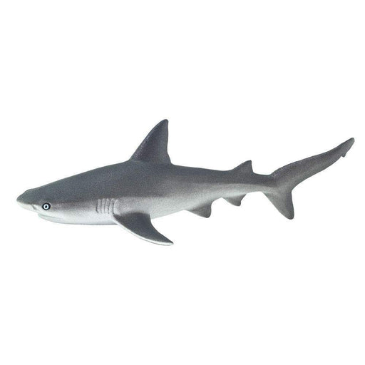 Gray Reef Shark Toy - Sea Life Toys by Safari Ltd.