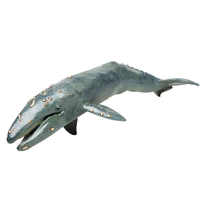 Gray Whale Toy