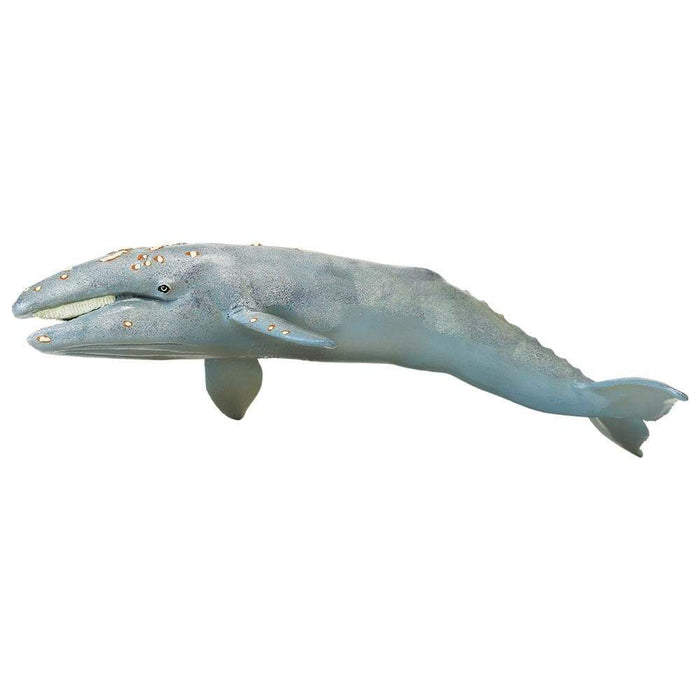 Gray Whale Toy - Sea Life Toys by Safari Ltd.