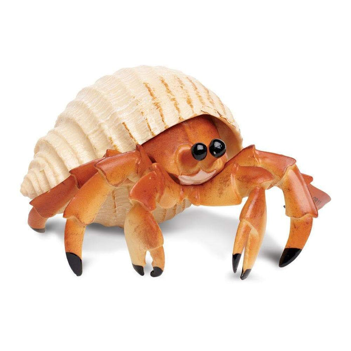 Hermit Crab - Safari Ltd®