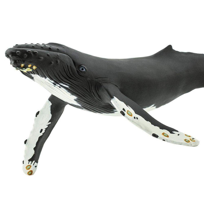 Humpback Whale Toy