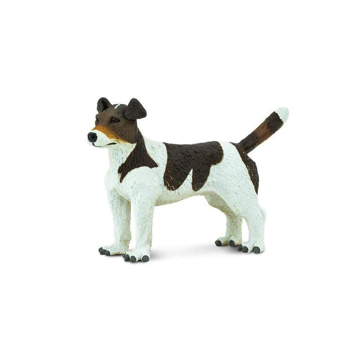 Jack Russell Terrier - Safari Ltd®