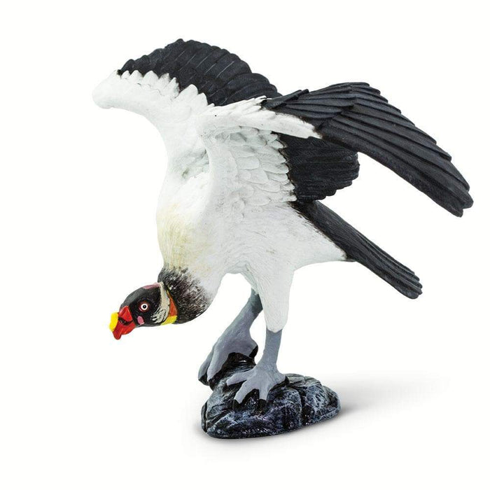 King Vulture - Safari Ltd®