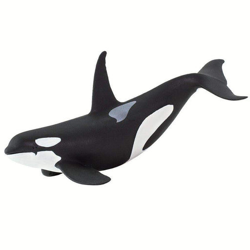 Orca Toy - Sea Life Toys by Safari Ltd.