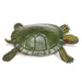 Red-Eared Slider Turtle - Safari Ltd®
