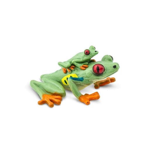 Red-eyed Tree Frog - Safari Ltd®