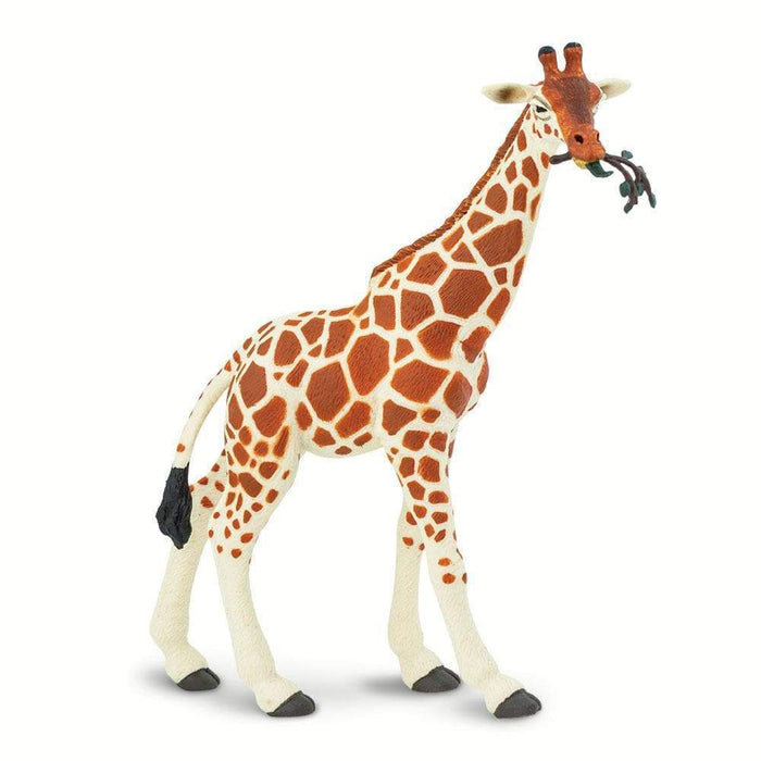 Reticulated Giraffe Toy | Wildlife Animal Toys | Safari Ltd.