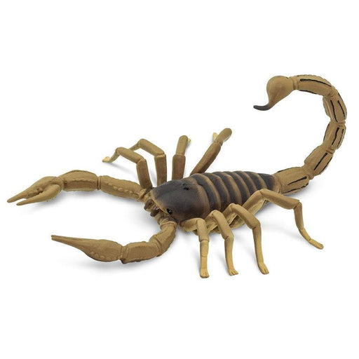 Scorpion - Safari Ltd®