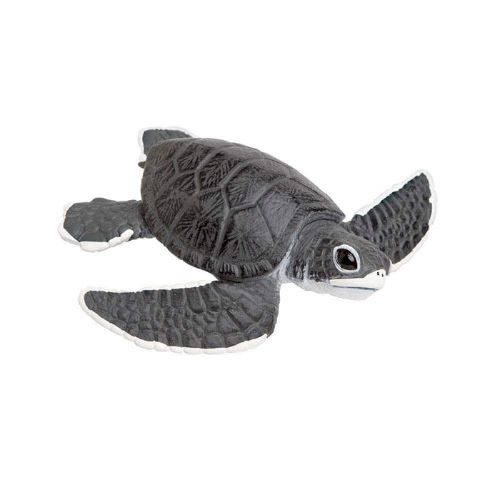 Sea Turtle Baby - Safari Ltd®