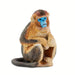 Snub Nosed Monkey - Safari Ltd®
