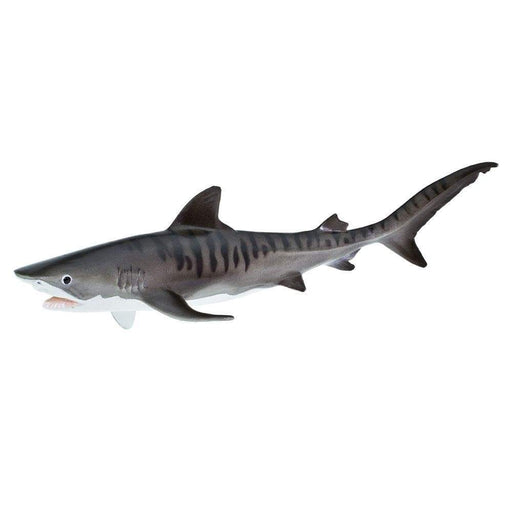 Tiger Shark Toy - Sea Life Toys by Safari Ltd.
