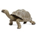 Tortoise - Safari Ltd®