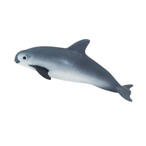 Vaquita Porpoise Toy - Sea Life Toys by Safari Ltd.